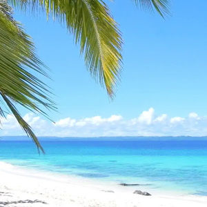 Meet your Posher, Ava